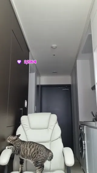 [한국BJ벗방] bblove17 2023-06-07 - 야동존