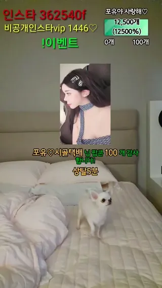 [한국BJ벗방] foru5858 2023-07-02 - 야동존