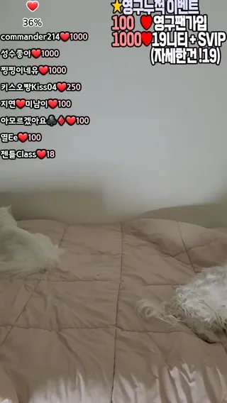 [한국BJ벗방] ddo125 2025-03-15 - 야동존