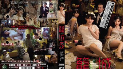 [영어자막] RBD-541 포위 5 Sho Nishino Hikari Hino Yui Asano